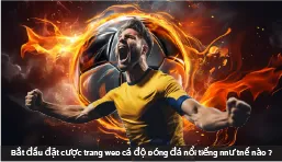 Bắt đầu đặt cược trang web cá độ bóng đá nổi tiếng như thế nào ?