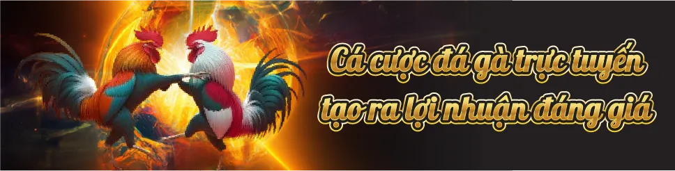 aquaxbet cockfight
